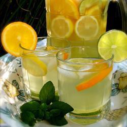 agua-fresca-de-limon-y-otros-citricos-5764-4526.jpg