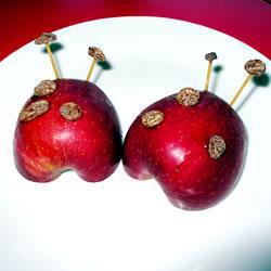 Catarinas de manzana