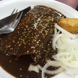 enchiladas-de-mole-poblano-7361-3199.jpg