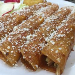 enchiladas-rojas-con-pollo-6474-5174.jpg