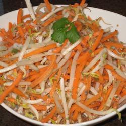 ensalada-de-zanahoria-y-germen-de-soya-2308-5232.jpg