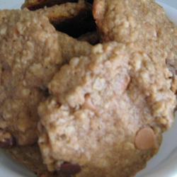 Galletas de avena camineras