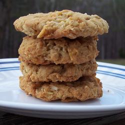 Galletas de avena y cereal integral