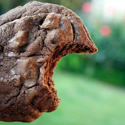 Galletas de chocolate con chips de chocolate