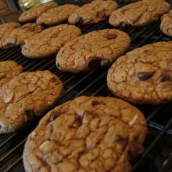 Galletas de chocolate con germen de trigo